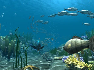 underwater world of coral and aquatic plants animated 006 3D Model