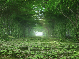 cultivo de videira Modelo 3D