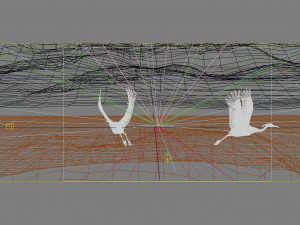 waterfowl are playing Model 3D
