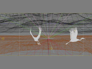 waterfowl are playing 3D Model