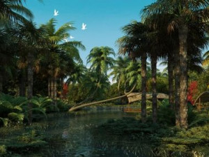 wetland scene 3 3Dモデル
