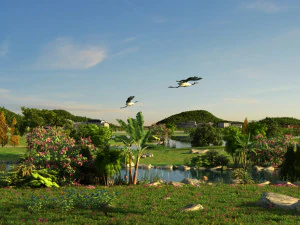 paesaggio delle zone umide 003 Modello 3D