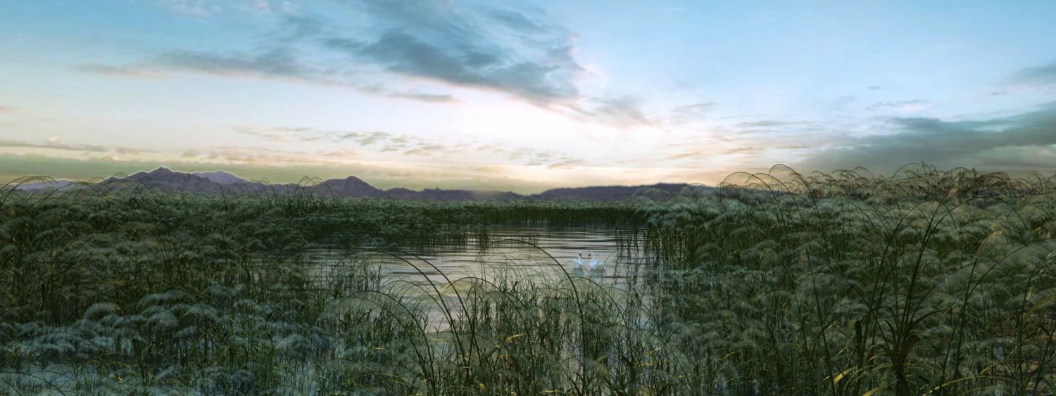 wetland landscape 006 3D Model .c4d .max .obj .3ds .fbx .stl .blend 