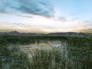 wetland landscape 006 3D 模型