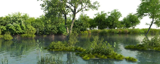 wetland sence 06 3D मॉडल .c4d .max .obj .3ds .fbx .stl .blend