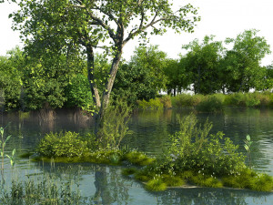 wetland sence 06 Modelo 3D