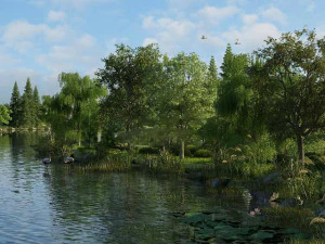 zona umida dal 09 Modello 3D