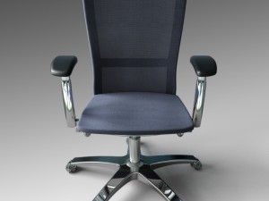 life adjustable arms Model 3D
