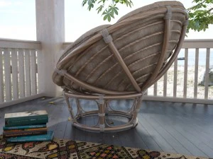 papasan 3D Model