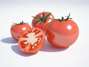 tomato 3D Model