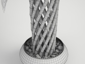 lucky bamboo Modello 3D