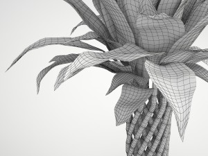 lucky bamboo Modello 3D