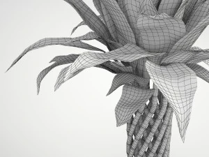 lucky bamboo 3D Model