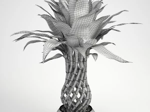 lucky bamboo 2 3D Model