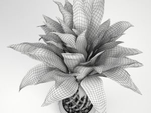 lucky bamboo 2 3D Model