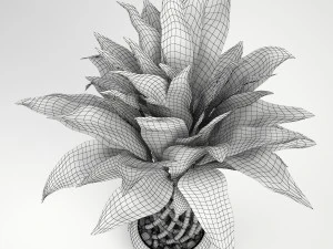 lucky bamboo 2 3D Model