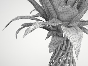 lucky bamboo 2 3D Model
