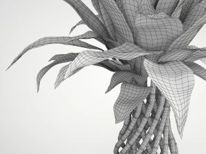 lucky bamboo 2 3D Model