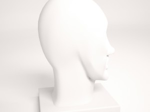 plaster head Model 3D