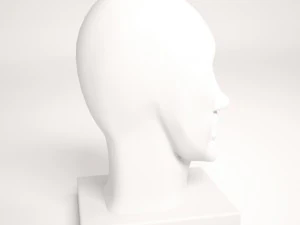 plaster head 3D Model
