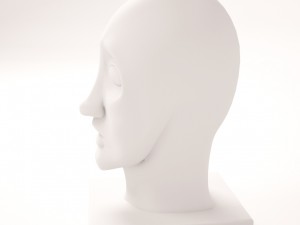 plaster head Model 3D