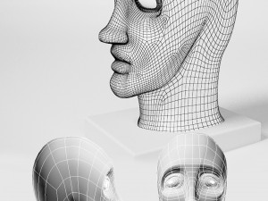 plaster head Model 3D