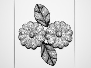 rosette 3D 模型
