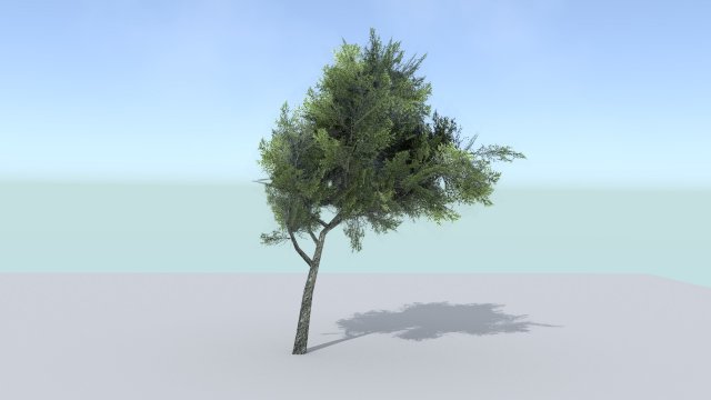 ash tree 3D Model .c4d .max .obj .3ds .fbx .stl .blend 