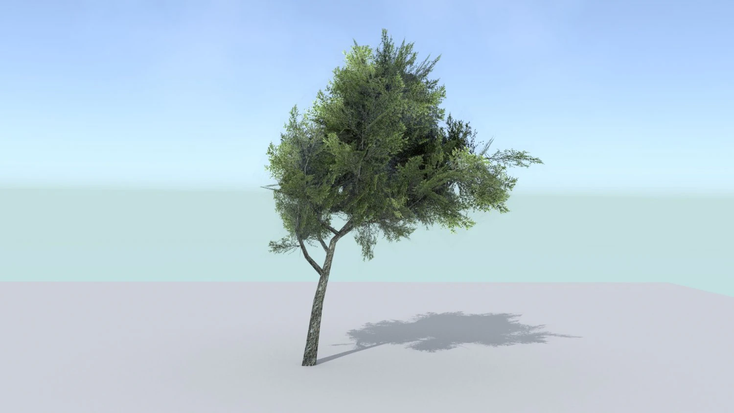 ash tree 3D Model .c4d .max .obj .3ds .fbx .stl .blend 