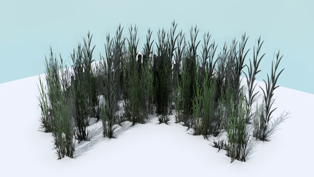 tall grass pack Modelo 3D .c4d .max .obj .3ds .fbx .stl .blend 