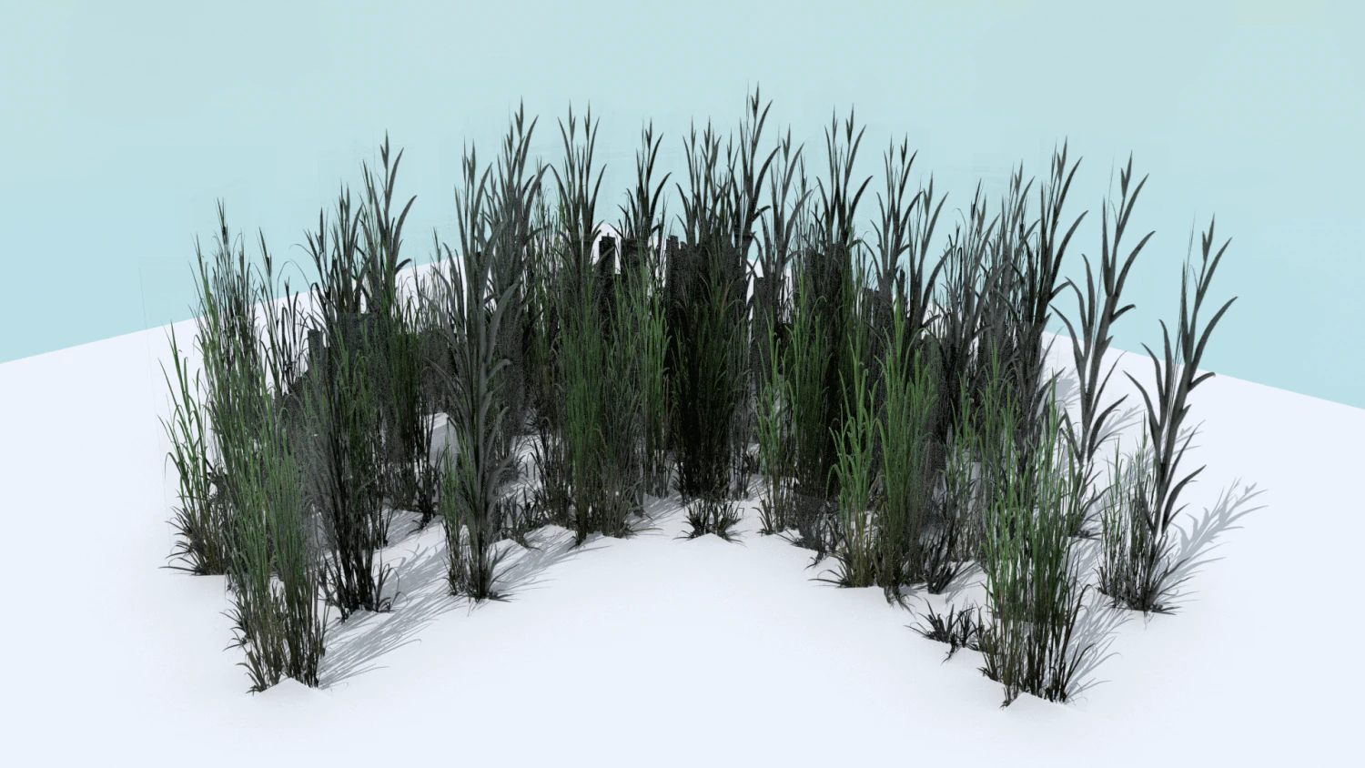 tall grass pack 3D Model .c4d .max .obj .3ds .fbx .stl .blend 