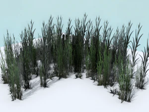 uzun ot paketi 3D Model