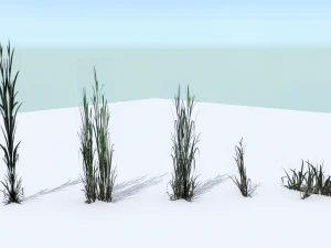 tall grass pack 3D Model