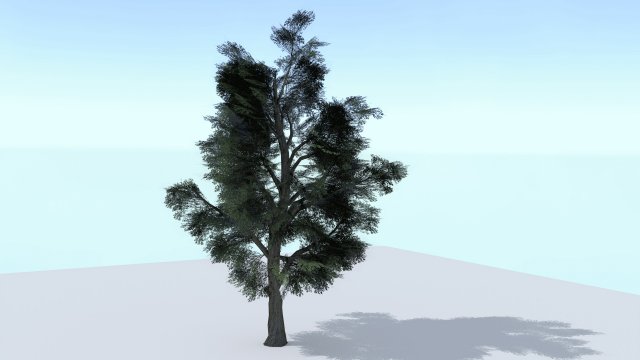 sycamore tree 3D 模型 .c4d .max .obj .3ds .fbx .stl .blend 