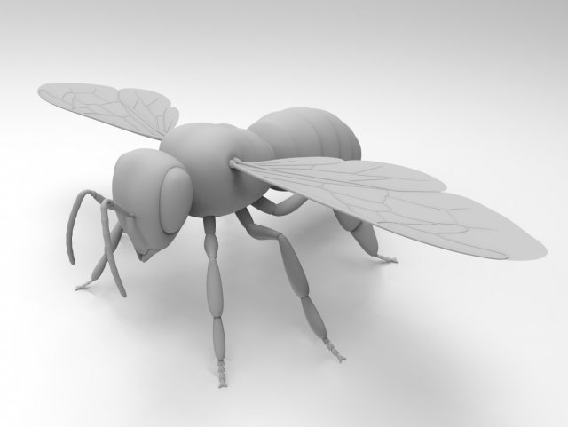 honey bee 3Dモデル .c4d .max .obj .3ds .fbx .stl .blend 