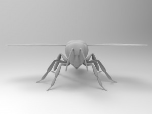 honey bee 3Dモデル