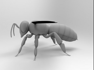 honey bee 3Dモデル