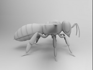 honey bee 3Dモデル