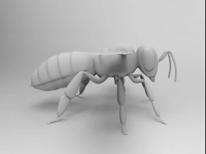 honey bee 3D Model