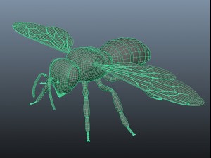 honey bee 3Dモデル