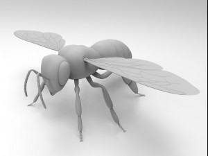 honey bee Modèles 3D en vedette