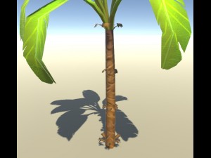 banana plant 3D Model