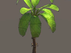banana plant 3D Model