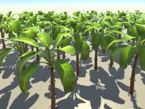 banana plant 3D Model