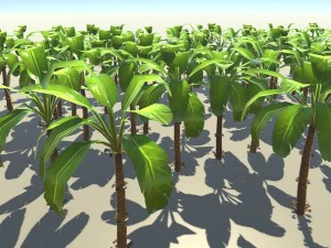 banana plant 3D Model