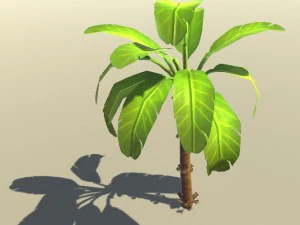 banana plant 3D Model