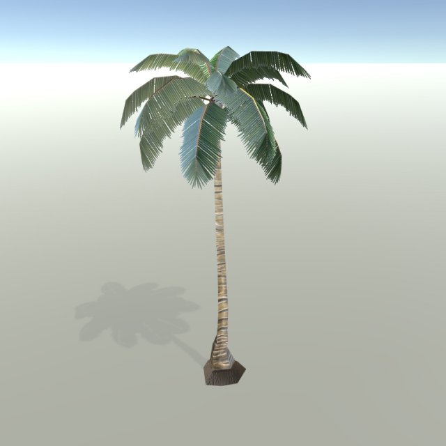 palm tree 3D Model .c4d .max .obj .3ds .fbx .stl .blend 