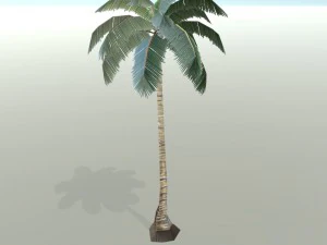 야자수 3D 모델