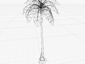 palm tree 3D Model