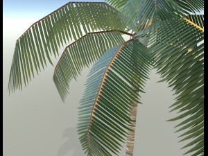 palm tree 3D Model